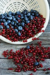 Fresh blueberries and red currants on the table