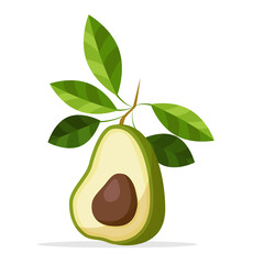 Avocado drawing. Whole avocado with leaf and half with seed isolated on white background.