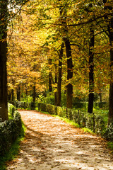 Paseo otoñal en el Parque del Retiro.
