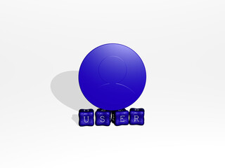 3D representation of USER with icon on the wall and text arranged by metallic cubic letters on a mirror floor for concept meaning and slideshow presentation. illustration and interface