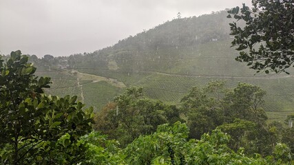 fog in the mountains