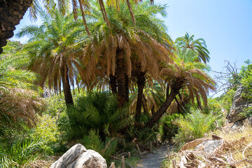 preveli beach in kreta