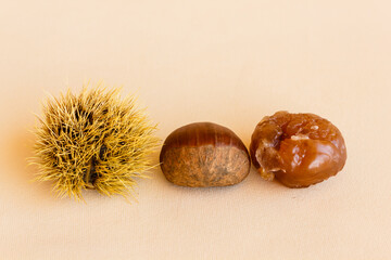 transformation of a chestnut / the chestnut husk becomes maturing from green to dark brown and contains the chestnut , which worked becomes marron glacé