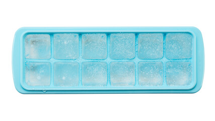 Form for making ice cubes. The concept of cold drinks.