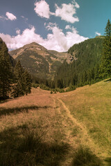 Fototapeta na wymiar The path to the mountains in summer season