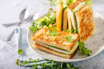 Fresh snack with cheese and cucumber