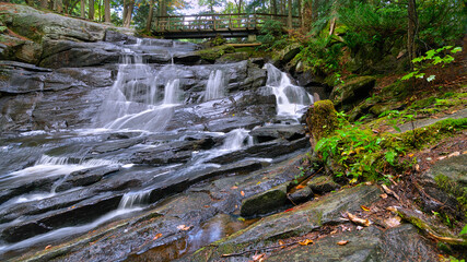 Autumn landscape. Beautiful stream In the forest with autumn leaf color and stones with moss.
