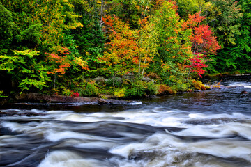 Autumn leaf color with stream and flowing water in a public park