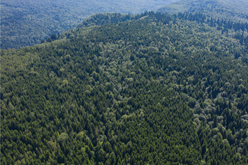 Skole Beskids National Nature Park. Closeup view from drone on forest, mountain. Wallpaper, texture, background