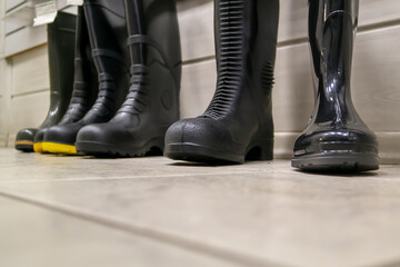 Different rubber boots, work shoes for rainy weather