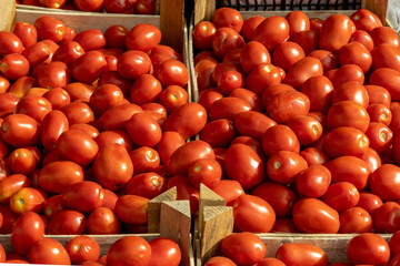 Tray on the market full of ripe tomatoes
