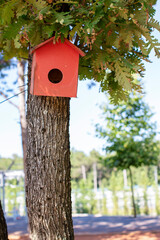 Bird house hanging from the tree with the entrance hole in the shape of a circle. Red birdhouse on a tree, hand wood shelter for birds to spend the winter.