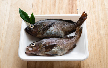 エゾメバル　ガヤ