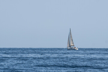 Fototapeta premium Velero