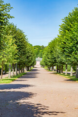 A path for pedestrians to walk in a modern green city park in the summer daytime