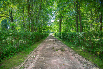 Fototapeta na wymiar A path for pedestrians to walk in a modern green city park in the summer daytime