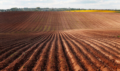 Landscape. A plowed field stretches to the horizon