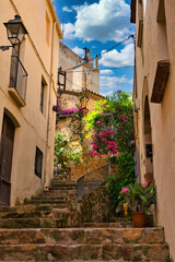 The typical streets with plants in the town Tossa de Mar. Costa brava (Catalonia)