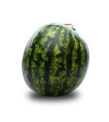 Fresh ripe perfect beautiful natural fruit watermelon