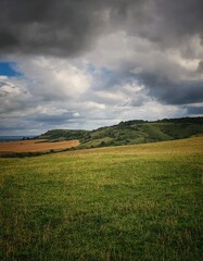 field and blue sky