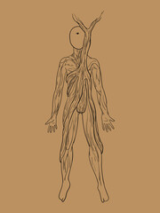 Vector esoteric illustration of a human in graphics. Roots body and the tree grows from the heart. Figure black pen isolated background