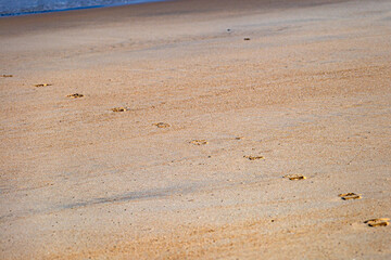 Ten steps to the ocean