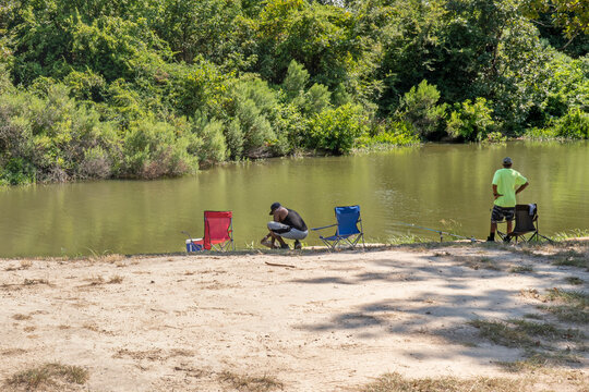 African American male calmly fishing from the bank of a lake, under a shade tree.