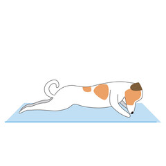 Jack russell terrier character or dog doing yoga isolated on white background, outline and flat vector stock illustration as asana concept, yoga for beginners