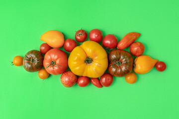 assortment of bright, ripe, multi-colored tomatoes, on a green background. the view from the top. concept of the harvest season