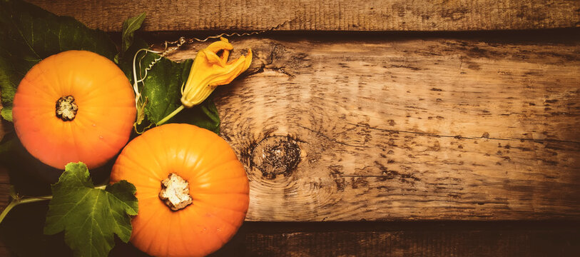 Autumn wooden background with pumpkins, top view, toned image with copy space