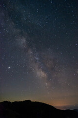 Milk way at night in forest. Night sky landscape. Astro Landscape with Stars and Milky Way Galaxy