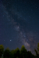 Milk way at night in forest. Night sky landscape. Astro Landscape with Stars and Milky Way Galaxy.