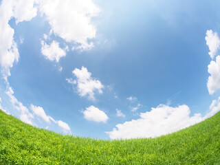 草原と青空に浮かぶ雲 (魚眼Ver)