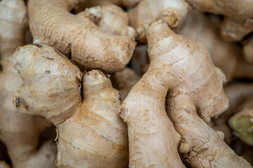 Fresh ginger on wooden background, herb medical concept. Ginger root on wooden table. Macro photo