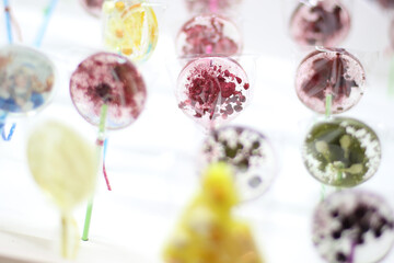 Transparent isomalt lollipops made manually with pieces of berries and fruit. Healthy and natural sweets made by hand for children are sold at a street fair or in pastry. Department or grocery store