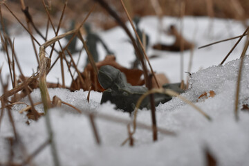 A Toy Soldier Taking Aim and Ready to Fight in a Snowy Field