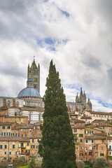 Naklejka premium View of Siena, Italy