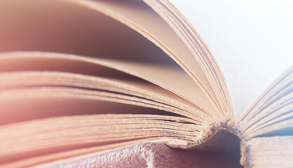 pages of an old book close up