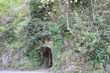 Entrance of abandoned tunnel in wild rock in forest
