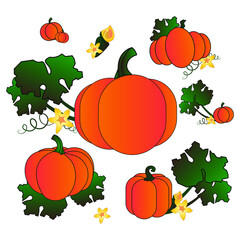 Orange pumpkin set of vector illustrations for halloween