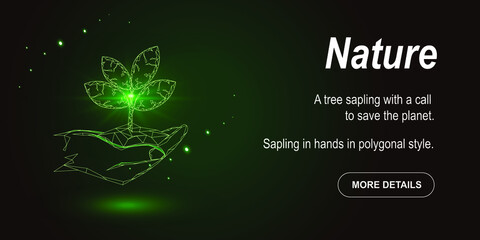 Hands hold a sprout of plants. Ecology, tree seedling leaves. Save the planet and the environment. Illustration in polygonal style