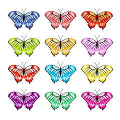 Colorful tropical butterflies set. Vector illustration.