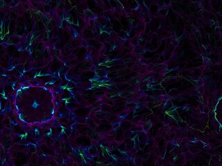 Imaginatory fractal background Image