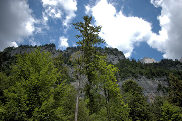 Bergpanorama in Walenstadtberg in der Schweiz 28.5.2020