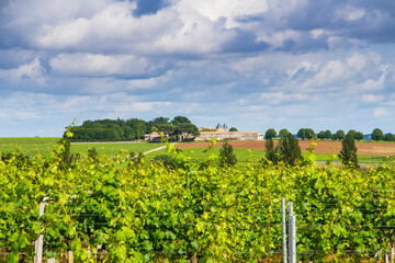 Fototapeta na wymiar Famous Saint-Émilion vineyard near Bordeaux, France.