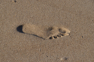 convex foot trail on the sandy shore of the sea