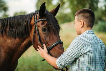 The boy strokes the horse's favorite horse on the head. Communication of a child with a horse in...