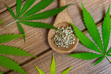 Green marijuana leaf, hemp seeds, wooden spoon on wooden background. Alternative medicine. Vegetarian food concept. Natural product .Marijuana alternative herbal medicine concept.