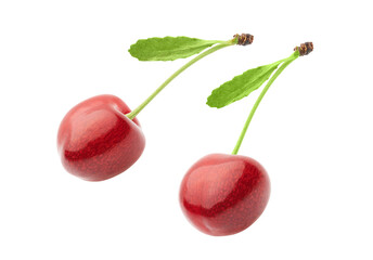 two cherries isolated on white