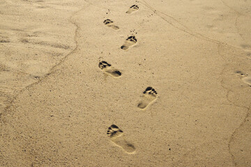Fototapeta na wymiar footprints in the sand stretching to the horizon